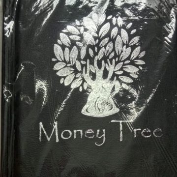 Money tree Coins Album Large Size 10 pages / 200 coins