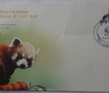 Red Panda  (Special Cover)
