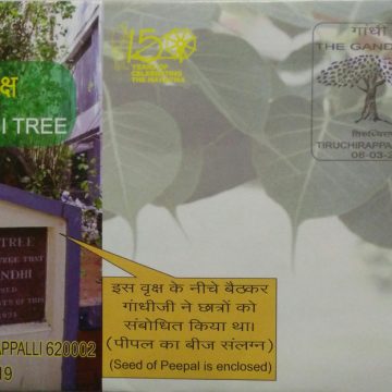 The Gandhi Tree  (Special Cover)