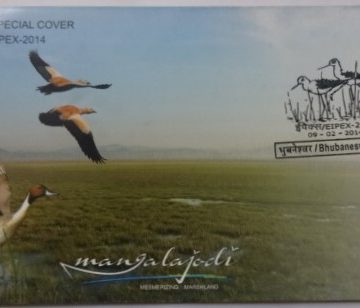 Mangalajodi  (Special Cover)