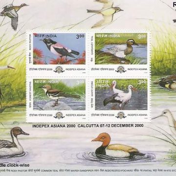 Indepex Asiana 2000 Asian International Philatelic Exhibition - 24 May 2000 (Indian Miniature Sheets)