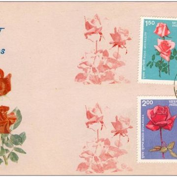 First Day Cover 23 Dec. '84 Indian Roses.(FDC-1984)