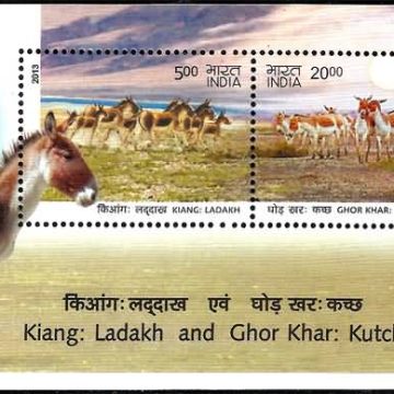 Kutch Wild Asses - 2013 (Indian Miniature Sheets)