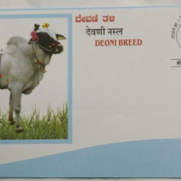 Deoni Breed (Special Cover)