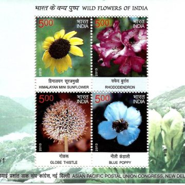 Wild Flowers - 2013 (Indian Miniature Sheets)