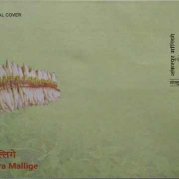 Shankarapura Mallige (Special Cover)
