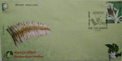 Shankarapura Mallige (Special Cover)