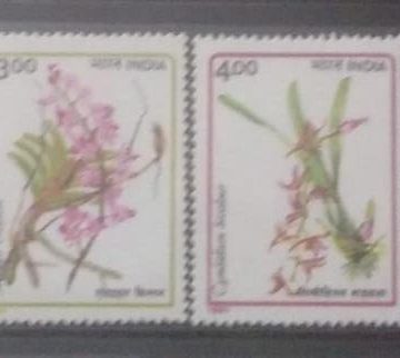 Orchids of India (Set of 6)