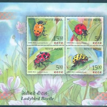 Ladybird Beetle - 2017 (Indian Miniature Sheets)