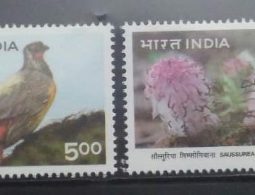 Himalayan Ecology (Set of 4)