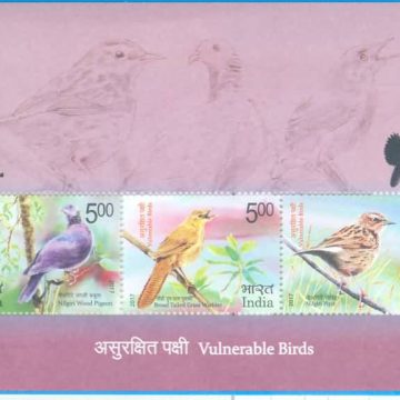 Vulnerable Birds - 2017 (Indian Miniature Sheets)