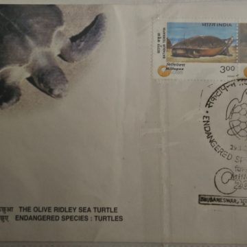 First Day Cover 29 Jan. '00 "Millepex 2000" , National Philatelic Exhibition, Bhubaneshwar. Endangered Species: Turtles.(FDC-2000) (Spots/hinged/slightly damaged/Paper Stuck)