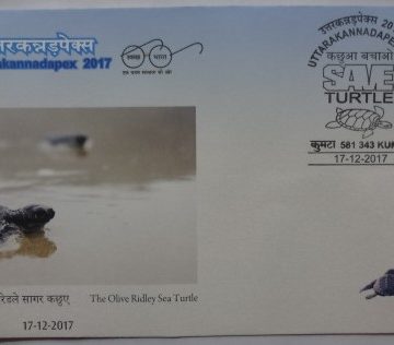 The Olive Ridley Sea Turtlev