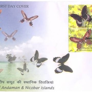 First Day Cover 02 Jan.'08 Endemic Butterflies of Andaman and Nicobar Islands.(FDC-2008) (Spots/hinged/slightly damaged/Paper Stuck)