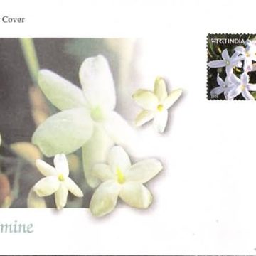 First Day Cover 26 Apr. '08 Jasmine (FDC-2008) (Spots/hinged/slightly damaged/Paper Stuck)
