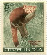 07 Oct. 63 Wild Life Preservation - Himalayan Panda. Wild Animal, Himalayan Panda, Ailurus fulgens, Lesser Panda, Red Cat-Bear, Red Panda, 15 nP.  (Hinged/Gum washed stamp)