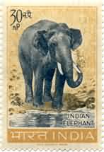 07 Oct. 63 Wild Life Preservation - Elephant. Wild Animal, Indian Elephant, Elephas Maximus indicus, 30 nP.  (Hinged/Gum washed stamp)