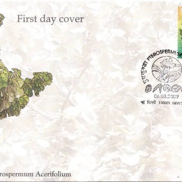 First Day Cover 06 Mar. '09 Pterospermum acerifolium 'Muchkunda' (Bayur Tree).(FDC-2009) (Spots/hinged/slightly damaged/Paper Stuck)