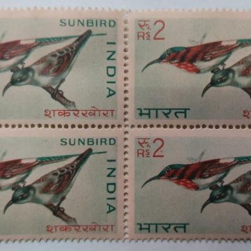 Indian Birds- yellow-backed sunbird 2.RS(Block of 4 stamp)