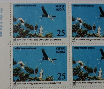 Painted Storks (Block of 4 TL Stamp)