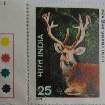 Swamp Deer(Hinged/Gum Wash)