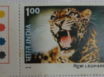 Leopard (Hinged/Gum Wash)