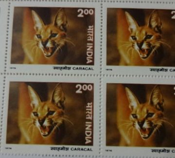 Caracal(Block of 4 TL Stamp)