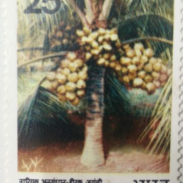 Diamond Jubilee of Coconut Research. Diamond Jubilee, Coconut, Research, Palm, 25 P.- MNH Stamp