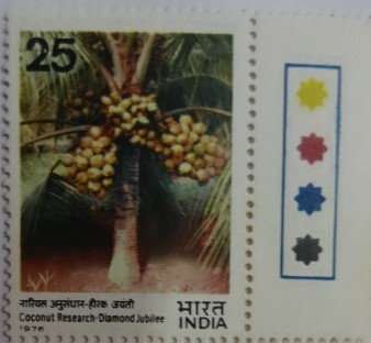 Hybrid Coconut Palm (Hinged/Gum Wash)