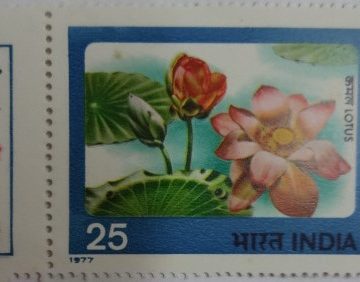 Lotus(724) (Hinged/Gum Wash)