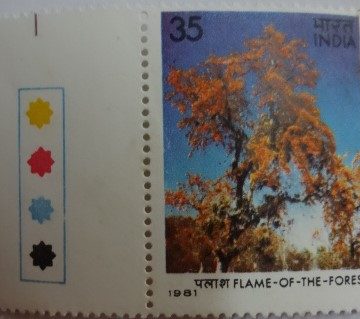 Butea monosperma Flame of the Forest (Hinged/Gum Wash)