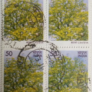 Flowering Trees - Crateva nurvala . Flower, Tree, Flame-of-The Forest, Spathodea campanulata, Fountain Tree, 35 P. (Used Block of 4 stamp)