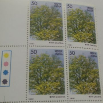 Flowering Trees - Crateva nurvala . Flower, Tree, Flame-of-The Forest, Spathodea campanulata, Fountain Tree, 35 P. (Block of 4 TL Stamp)