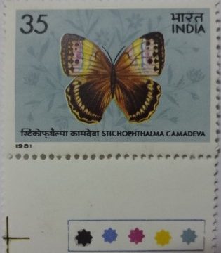 Stichophthalma camadeva Nothen Jungle Queen (Hinged/Gum Wash)