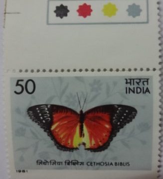 Cethosia biblis Red Lace Wing (Hinged/Gum Wash)