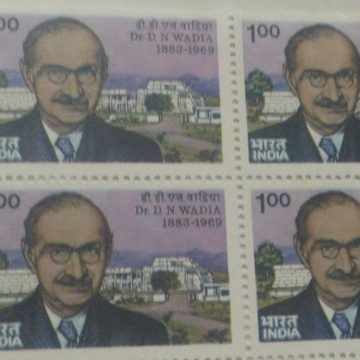 Birth entrnary of Dr. darashaw Nosherwan wadia (Block of 4 TL Stamp)