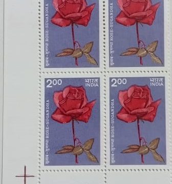 Indian Roses - Sugandha. Rose, Flower, Botany, Hybrid Rose Rs. 2 (Block of 4 TL Stamp)