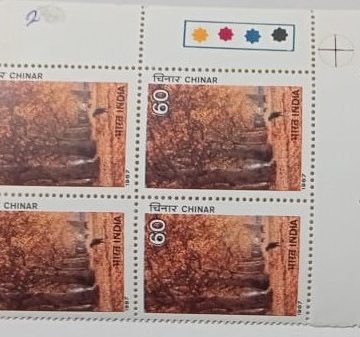 Indian Trees - latanus orientalis, chinar  (Block of 4 TL Stamp)