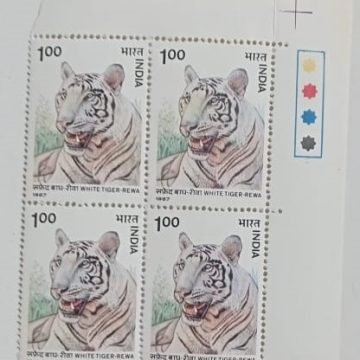 Wild life, White Tiger (Block of 4 TL Stamp)