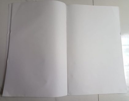 Sams Shopping Full Scape Mint sheet Album 10 pages - Image 2