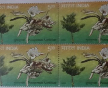 Pterospermum Acerifolium (Block of 4 TL Stamp)