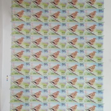 Vulnerable Birds. Nilgiri pipit Rs.5 - MNH (Full sheet - 45 stamps)