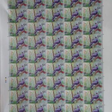 Vulnerable Birds. Wood pigeon Rs.5 - MNH (Full sheet - 45 stamps)