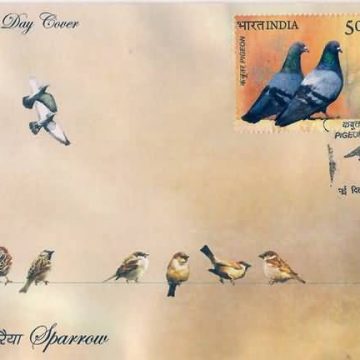 First Day Cover 09 July. '10 Birds of India.(FDC-2010)