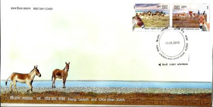First Day Cover 10 May.'13 Kiang : Ladakh and Ghor Khar : Kutch Wild Asses.(FDC-2013)