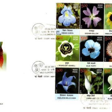 First Day Cover 03 Sep.'13 Wild Flowers of India.(FDC-2013)