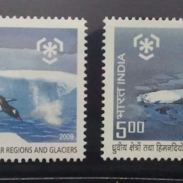 Preserve the Polar Regions And Glaciers (Set of 2)