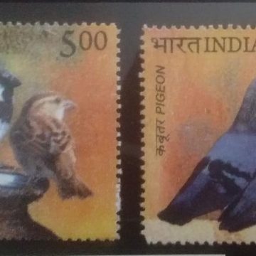 Birds of India (Set of 2)