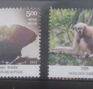 Endemic Species of Indian Bio Diversity Hot Spots (Set of 4)