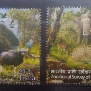 Zoological Survey of India. (Set of 2)